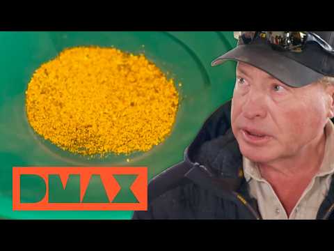 JACKPOT: Die besten Goldfunde! 🤑💰 | COMPILATION | Goldrausch: Einsatz für Freddy Dodge