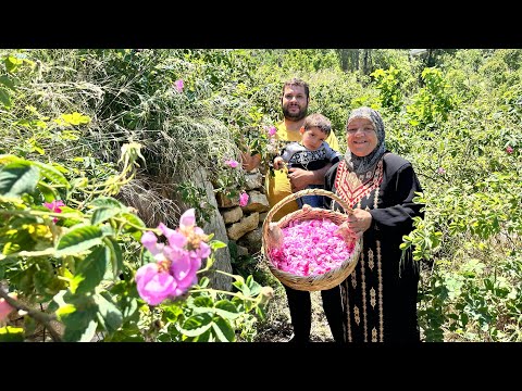 قطاف الورد البري 🌸تحضير مربى وماء الورد وتجفيفه لفصل لشتاء القاري ☃️