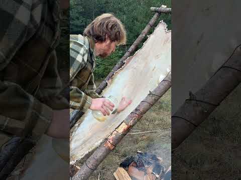Tanning sheepskin the natural way #traditional #sheep #homesteading #selfsufficiency #hidetanning