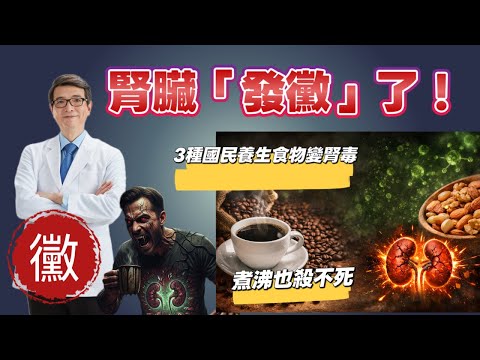比止痛藥更傷腎!這3種「國民養生食物」竟藏隱形黴毒,再這樣喝咖啡,腎臟真的會發霉!