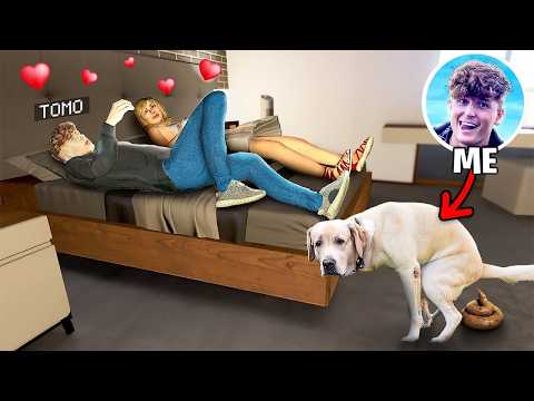 Playing GTA 5 As An ANIMAL..