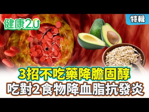 【特輯】3招不吃藥降膽固醇！吃魚油降膽固醇無效？ 營養學博士破除迷思！吃對燕麥酪梨 降血脂、抗發炎！｜健康2.0 #鄭凱云 #陳欣湄 #韋汝