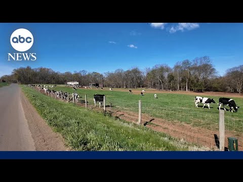 U.S farmers feel the pinch as the war in Iran drags on