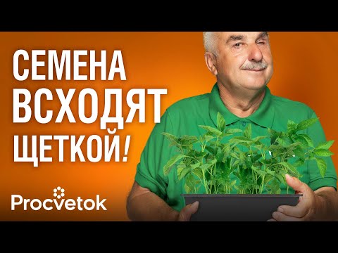 ТЕПЕРЬ СЕЮ ПЕРЦЫ И БАКЛАЖАНЫ ТОЛЬКО ТАК! Всходят быстро, растут крепкими и урожайными