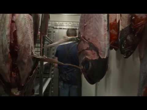 Fish Dry Ageing at Saint Peter