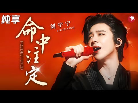 刘宇宁一首《命中注定》封神，性感烟嗓开口就是王炸，台下明星都听醉了~#刘宇宁 #明星演唱会 clip