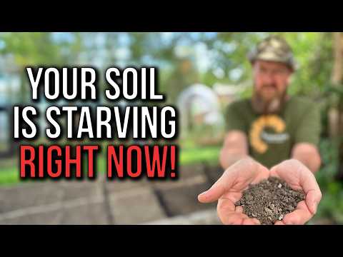 These 5 Winter Tasks Transform Your Soil by Spring