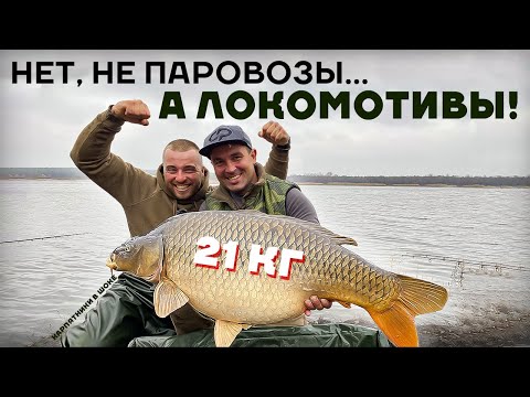 ЕСЛИ БЫ НЕ УВИДЕЛ - НЕ ПОВЕРИЛ! Ловля Гиганских Карпов.. поклевки ОДНА за ОДНОЙ! Карпфишинг или ФЛЭТ