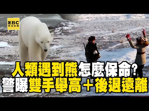 【精選】人類遇到熊怎麼保命？警曝「雙手舉高＋慢速後退」讓自己看起來更大@EARTHFOCUS_EBC ｜舒夢蘭