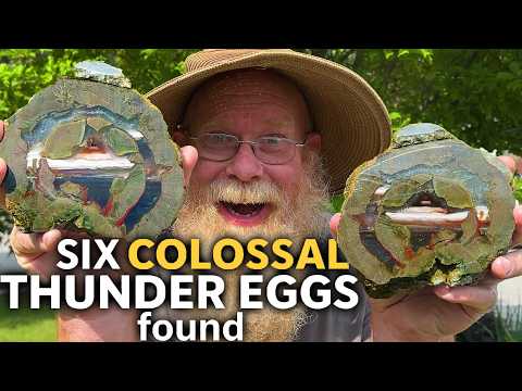 We Dug Six COLLOSAL Thunder Eggs!
