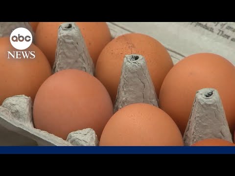 CDC warns of salmonella outbreak possibly linked to eggs