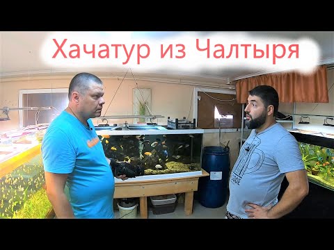 Аквариумист Хачатур из Чалтыря