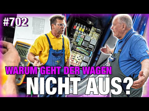 FOCUS can't find a rest - who's keeping EVERYTHING awake? 😵💥 LIVE DIAGNOSIS!! | Crack causes THIS...