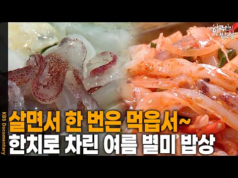 오징어보다 한 수 위! 한치, 어디까지 먹어봤니? | KBS 20160728 방송