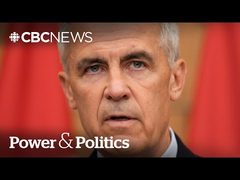 How should Canada respond to U.S. tariff increase? | Power & Politics