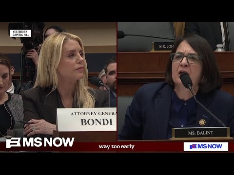 I didn’t prepare to be accused of antisemitism: Rep. Balint on walking out of Bondi hearing