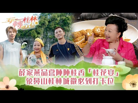 玩轉桂林懶人包|薛家燕品嘗陣陣桂香「桂花宴」 象鼻山桂林城徽必到打卡位