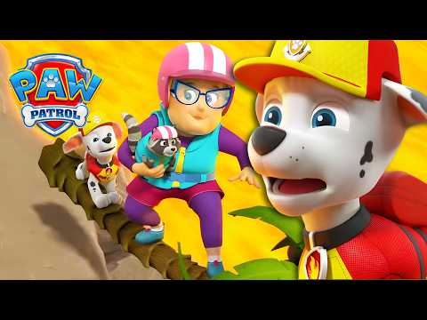 Marshall's Volcano Rescue! 🌋 - PAW Patrol - Cartoons for Kids