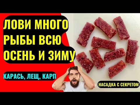 Насадка для рыбалки на КАРАСЯ, КАРПА, ЛЕЩА. Насадка которая привлекает рыбу, даже в холодной воде.