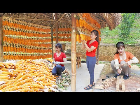 CEO Girl Leaves The City To Live in the Forest: Build Warehouse to Store Many Corn After Harvest