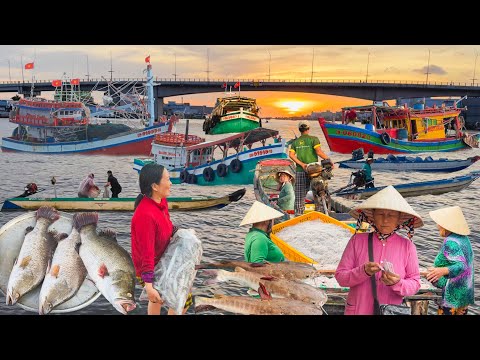 Sông Ông Đốc Cà Mau Vợ Chồng Đi Biển Trúng Mực Ống║Ghe Thuyền Tấp Nập Khắp Dòng Sông