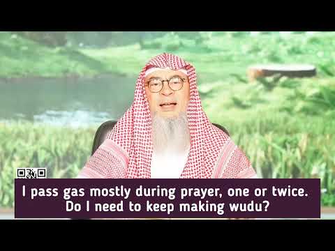 I pass gas (wind) during prayer once or twice, do I need to keep renewing my wudu assim al hakeem