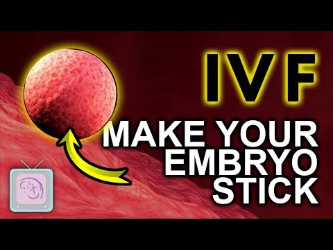 IVF Why embryos don't stick (and what you can do about it)