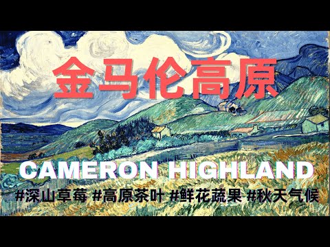 海拔1500m的金马伦高原，每天都是初秋的凉爽天气，绝对是马来西亚最理想的度假胜地之一 The best activities for 3 days in the Cameron Highlands