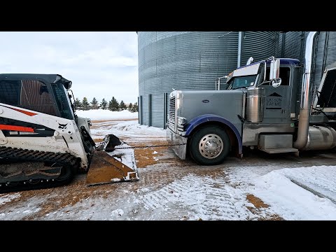 Purple Pete Has Taken Some Damage!! 