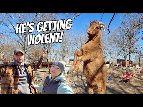 He Stood Up and ATTACKED Me!