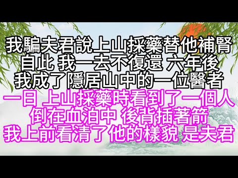 我騙夫君說上山採藥，替他補腎，自此，我一去不復還，六年後，我成了隱居山中的一位醫者，一日，上山採藥時，看到了一個人，倒在血泊中，後背插著箭，我上前看清了他的樣貌，是夫君【幸福人生】#為人處世#生活經驗