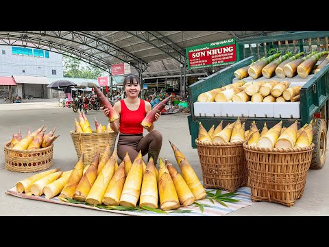 Rewind Timelapse: Harvest Lots Of Bamboo Shoots - Use 3-Wheeled Truck To Transport To Market Sell