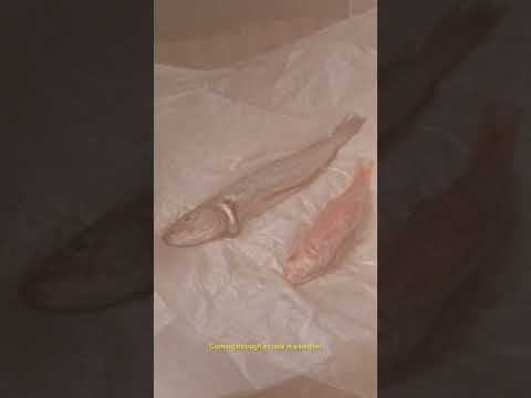 How A Painter Lives The Good Life In Her Home Studio