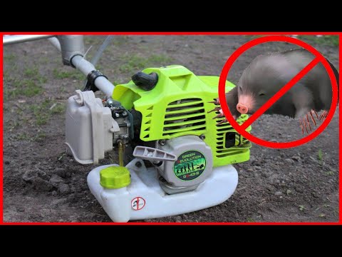 ПОЧЕМУ Я НЕ СДЕЛАЛ ЭТО РАНЬШЕ? УБРАЛ Крота НАВСЕГДА!!!