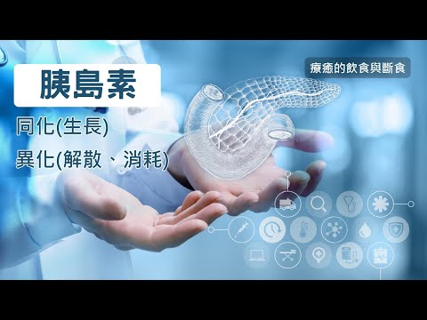 楊定一：現代人愈來愈常見的胰島素阻抗問題，是我們可以從飲食與運動著手、來扭轉體質的關鍵－療癒的飲食與斷食QA(9)