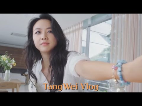 [한글자막] 탕웨이 생일 브이로그 汤唯tangwei vlog