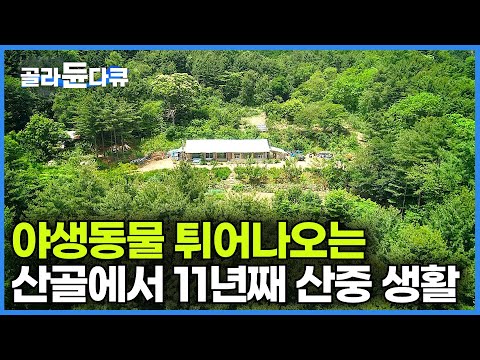 정말 어렵게 찾아간 강원도 홍천 깊고 깊은 산골에 나 홀로 농사짓고 11년째 자급자족 먹고사는 스님의 특별한 하루┃야생동물 튀어나오는 숲속에 산다┃능조스님┃#골라듄다큐