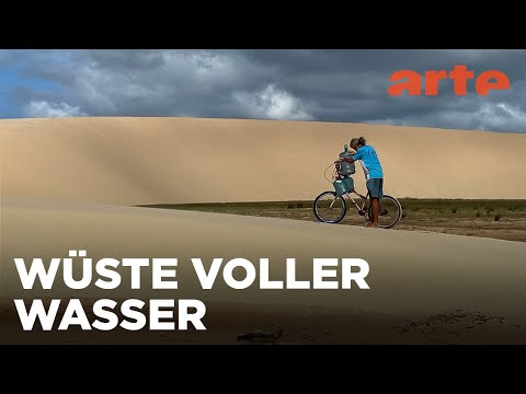 Wüste mit Wasser, die einzigartigen Lençóis Maranhenses | Abenteuer Brasilien | ARTE Family