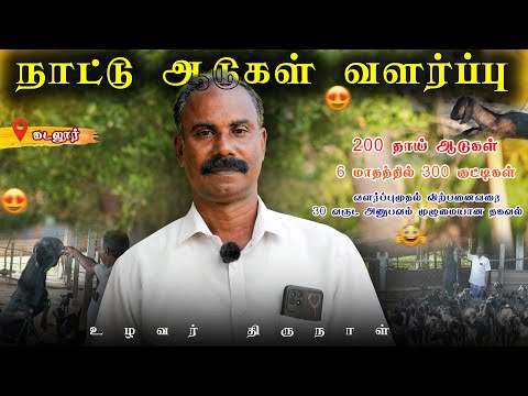 நாட்டு ஆடு வளர்ப்பது பற்றிய முழுமையான தகவல் | கடலூர் | உழவர் திருநாள்