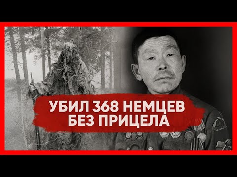 Как Охотник из тайги перестрелял 368 немцев в одиночку? Прозвище "ЛЕСНОЙ ДЬЯВОЛ"