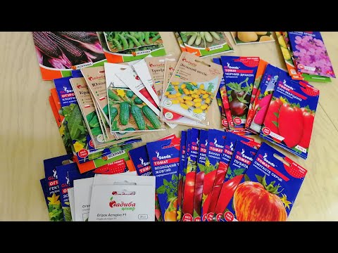 Огляд #НАСІННЯ 2024 з сайту @GradinaMax! Дешеві ціни!👍Що замовила?? 🌱