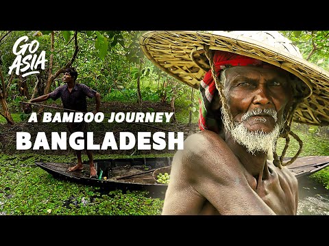 Asia’s Floating Forests: The Dangerous River Route of Bamboo Traders – Documentary - AMP