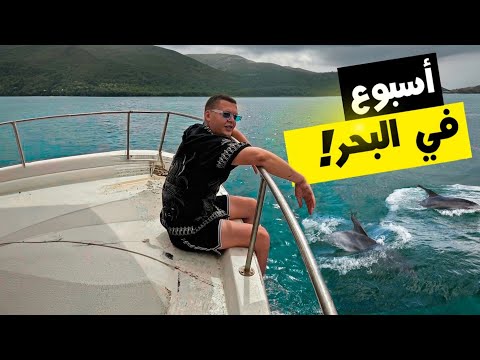 سبحت مع الأسماك، قابلت الدلافين، وعثرت على سرطان نادر جدًا.. | تحديات "أسبوع البحر" 🌊