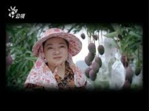 白冰冰金鐘獎最佳女主角得獎作品 - 《那天媽媽來看我》