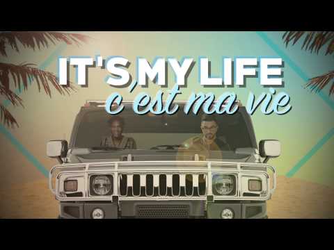 Chawki Ft. Dr. Alban - It's My Life (C'est Ma Vie)