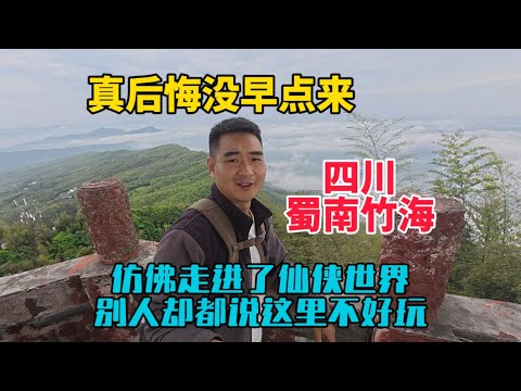 漫步四川蜀南竹海，彷彿走進了仙俠世界，滿眼都是翠綠色空氣非常好，但很多人說這裡不好玩，我卻後悔沒有早點來！