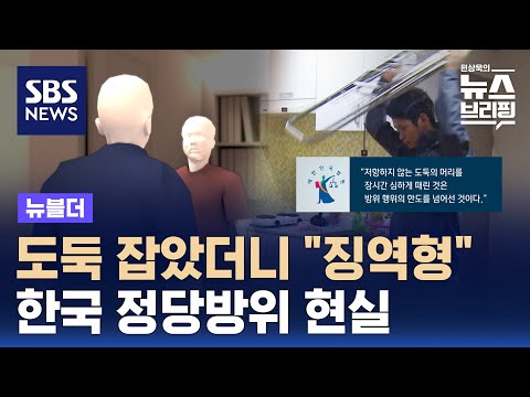 도둑 잡았더니 "징역형"…한국 정당방위 현실 / SBS / 뉴블더