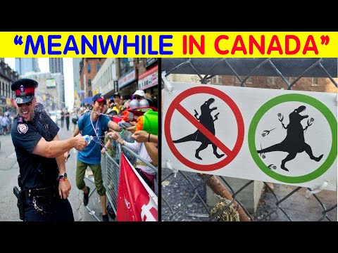 50 “Meanwhile, In Canada” Photos That Highlight Why This Country Is Like No Other #5