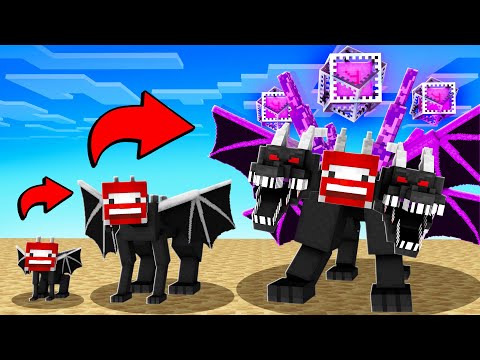 MEIN LEBEN als ENDERDRACHEN!