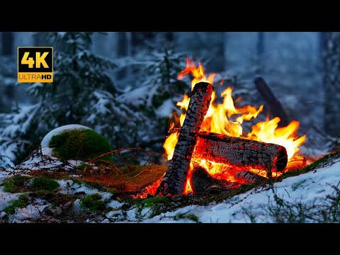 4K Campfire in a Snowy Forest ❄️ 100% Authentic Sounds 🎁 X-Mas